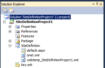 Solution Explorer showing the files which make up the Site Definition project.