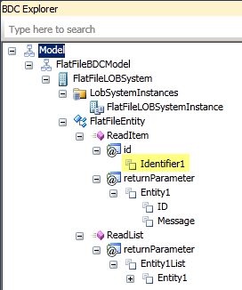 Specific Finder Identifier1 Input Parameter