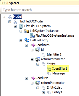 Specific Finder Identifier1 Return Parameter